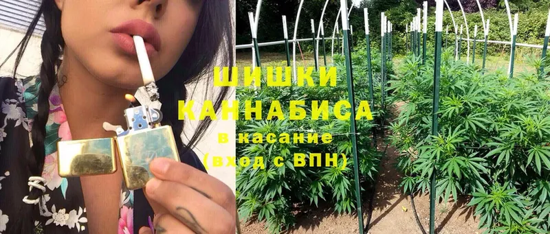 МАРИХУАНА THC 21%  как найти закладки  Морозовск 